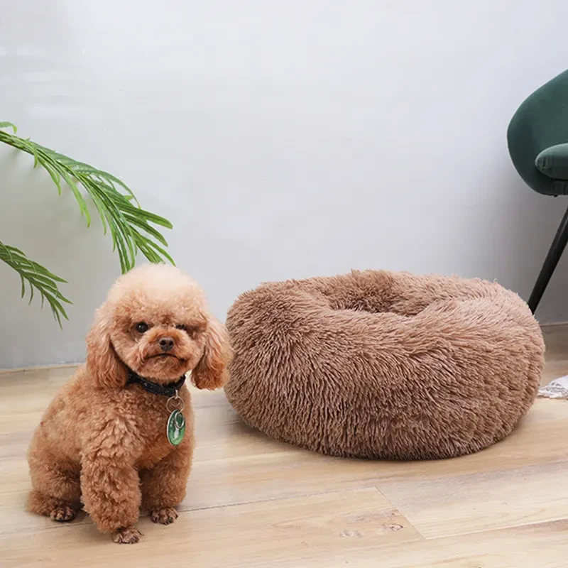 Perfect Pet House: Rest, Play, and Privacy All in One